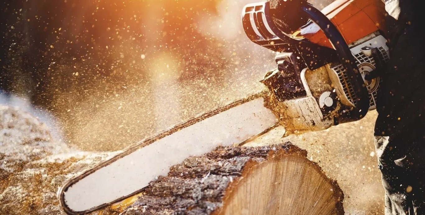 Hazardous & Large Tree Removal in Waterloo, IA