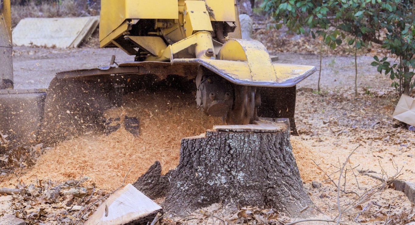 Professional stump grinding service in Waterloo, IA